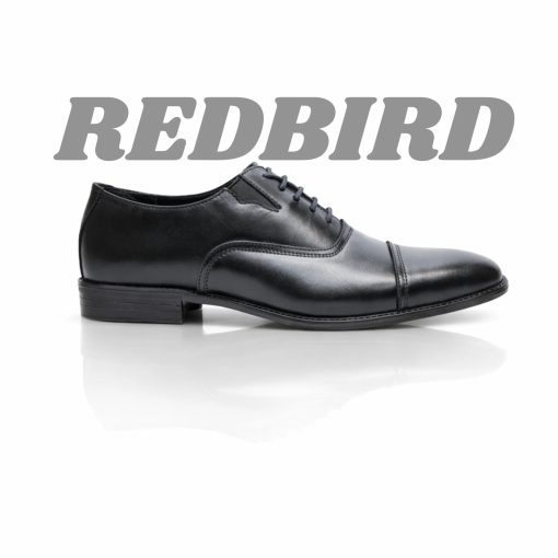 Original Leather Elastic Oxford Black Shoes