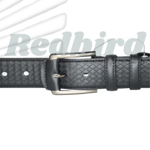 stylish Belt