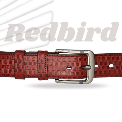 Stylish Belt (premium)